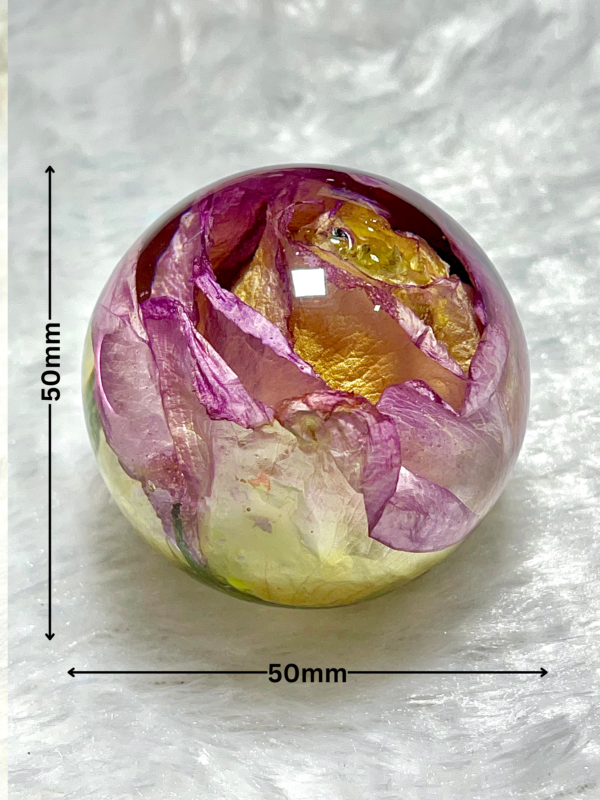 Real rose preservation| rose paperweight