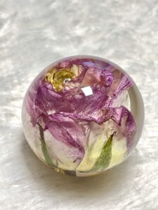 Real rose preservation| rose paperweight