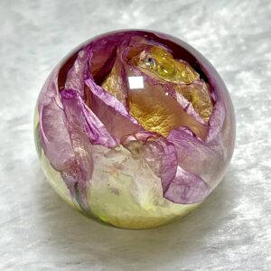 Real rose preservation| rose paperweight