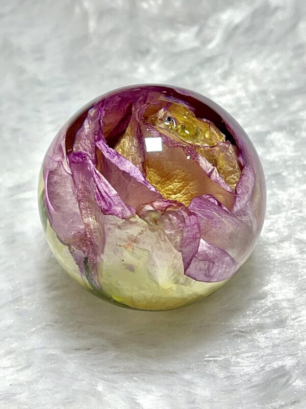 Real rose preservation| rose paperweight