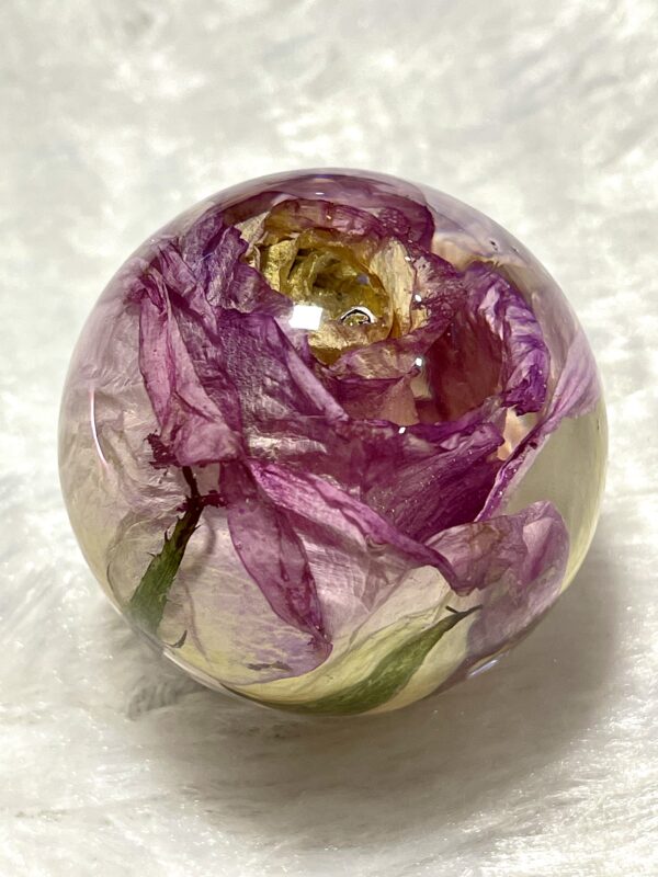 Real rose preservation| rose paperweight