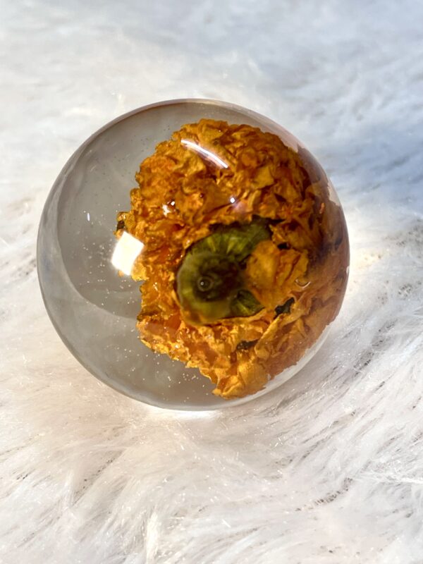 Real genda preservation| genda paperweight| resin sphere