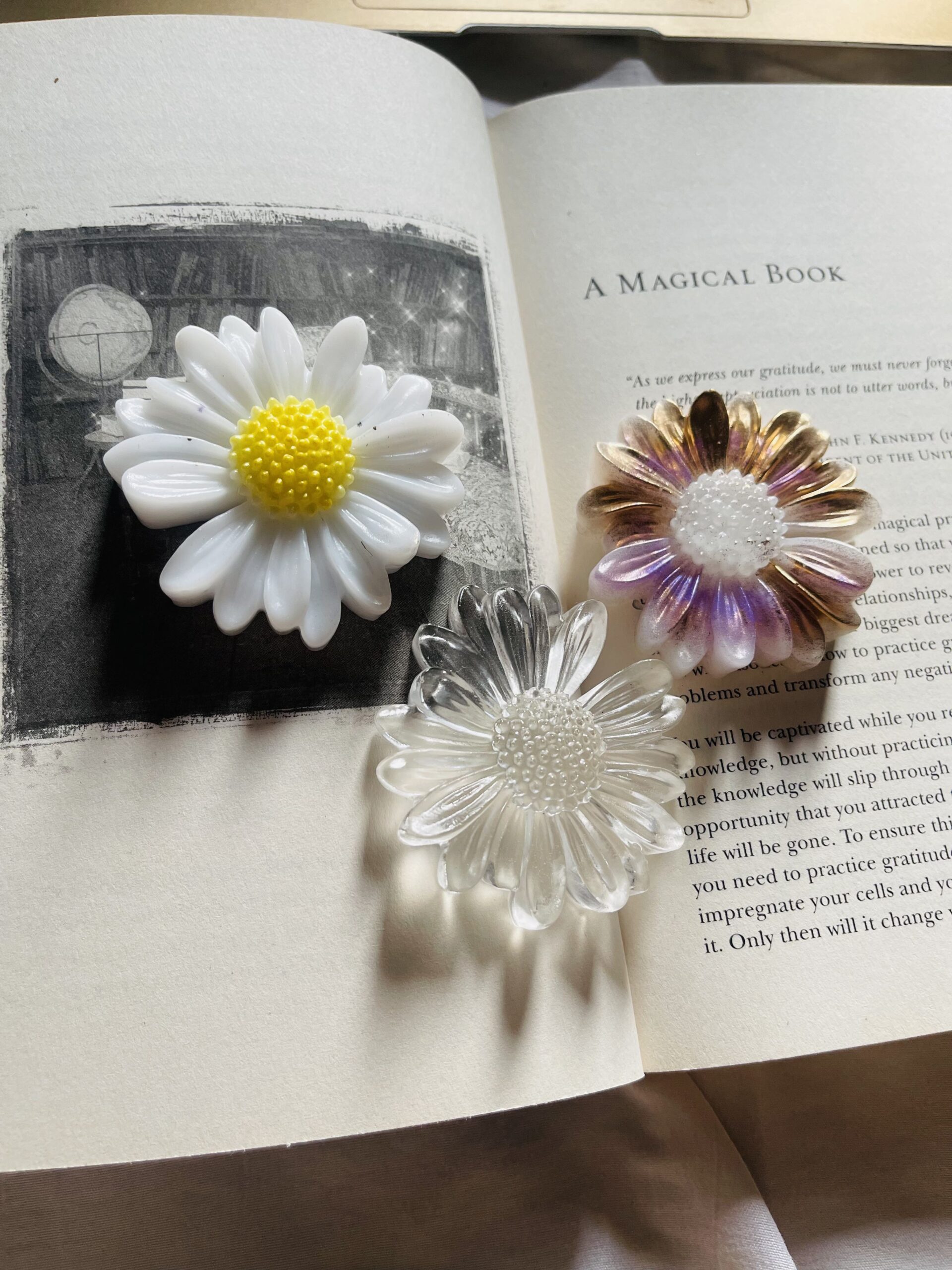 resin daisy paperweight RTRPW11N resin daisy paperweight RTRPW11N