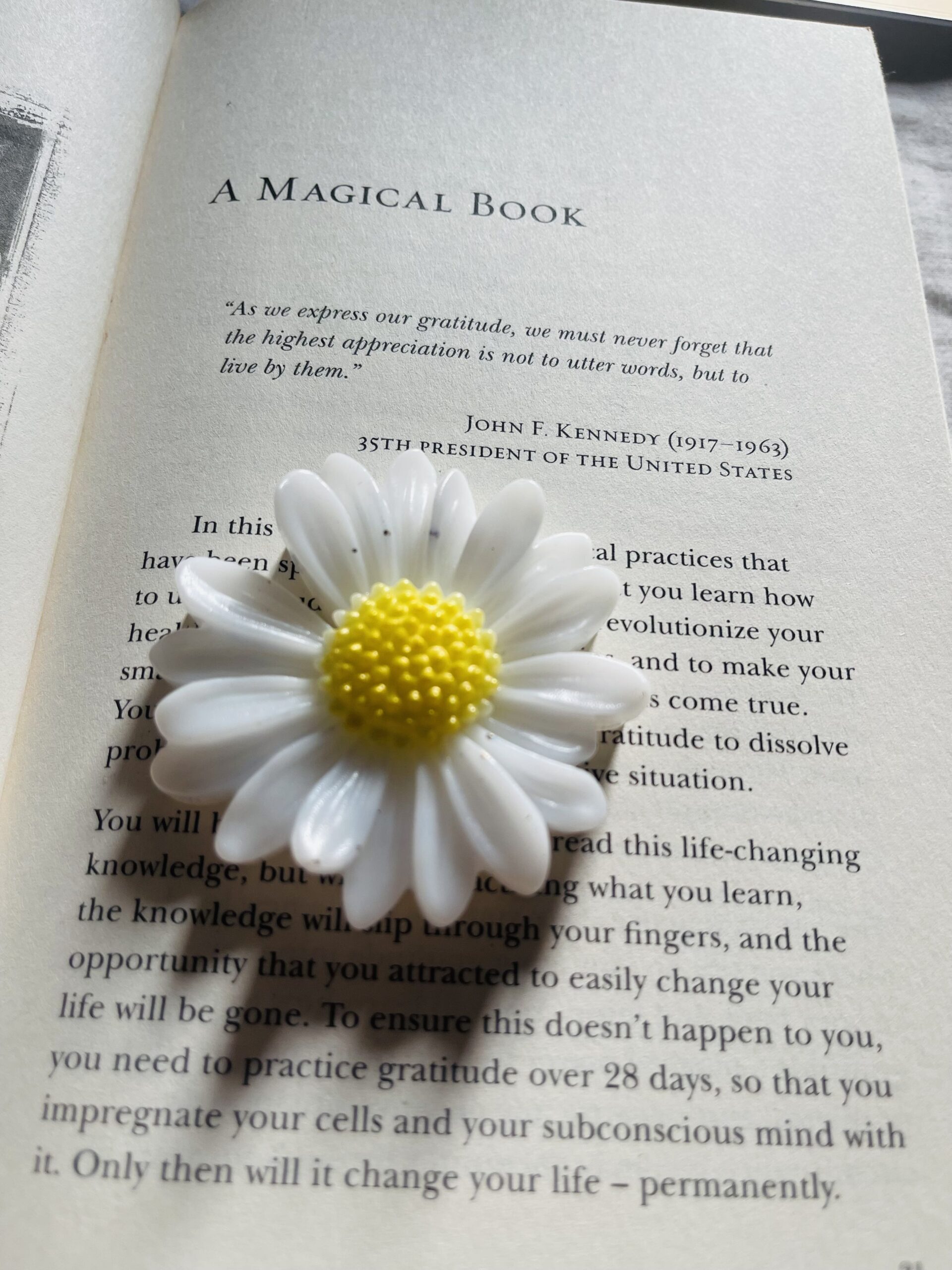 resin daisy paperweight RTRPW11N resin daisy paperweight RTRPW11N